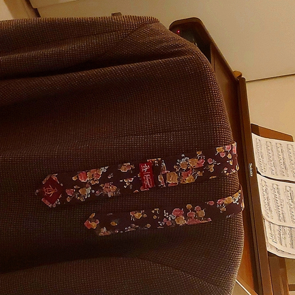 Original Penguin Necktie 👔